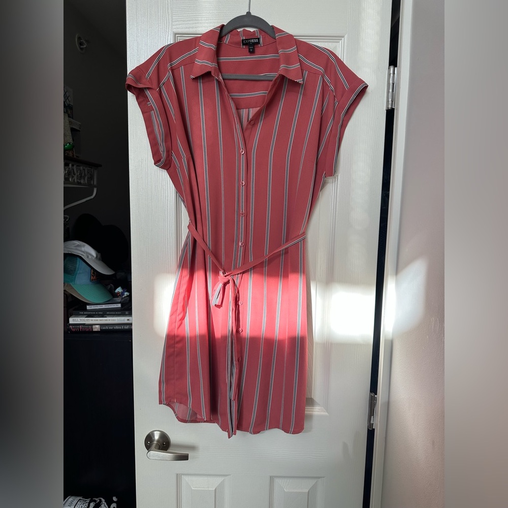 Express Botton Front Dress